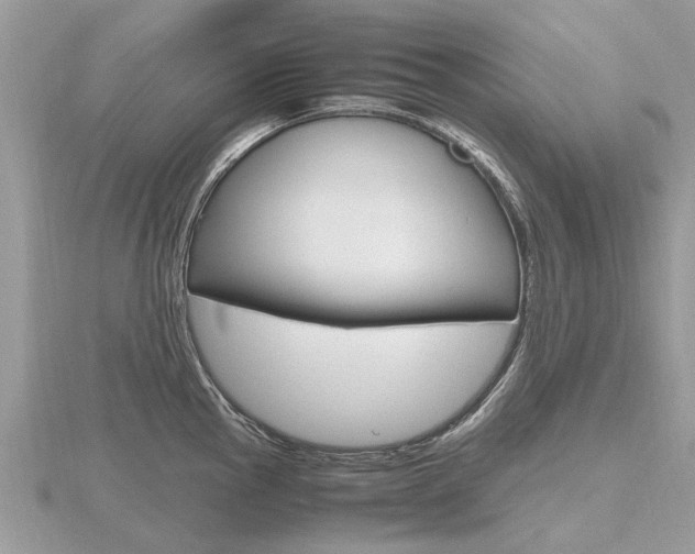 X0000116661145200912141021