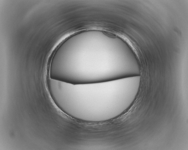 X0000116661147200912141021