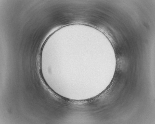 X0000116661150200912141021