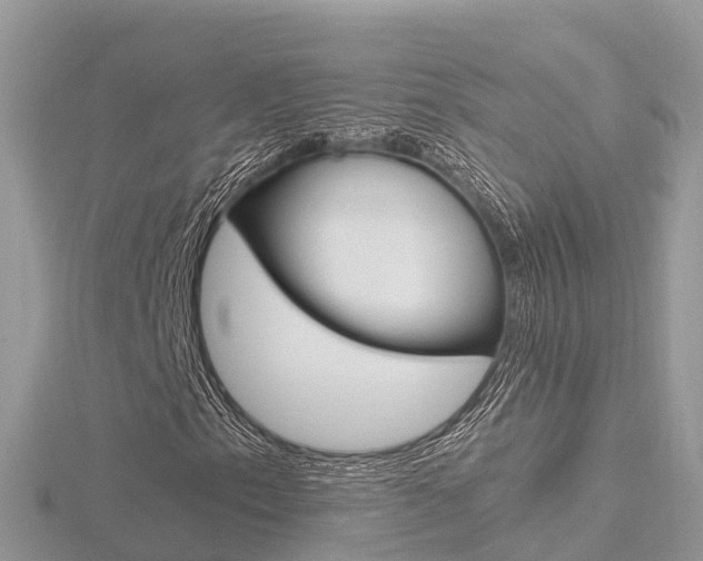X0000116661153200912141021