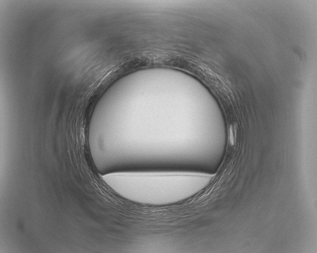X0000116661155200912141021
