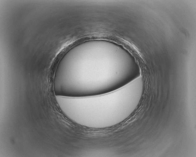 X0000116661160200912141021