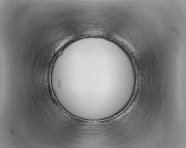 X0000116661162200912141020
