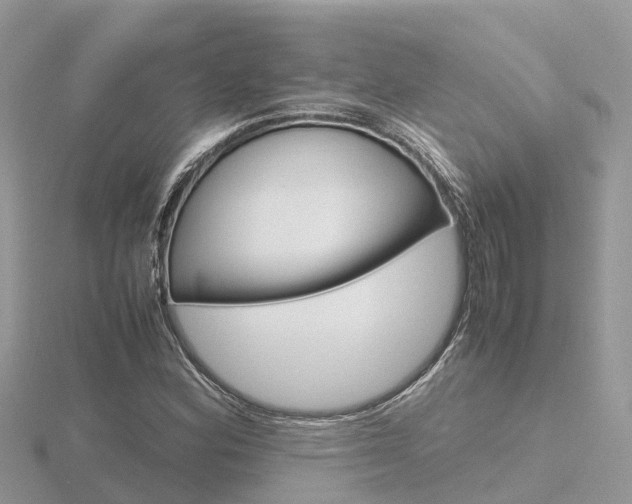 X0000116661164200912141020