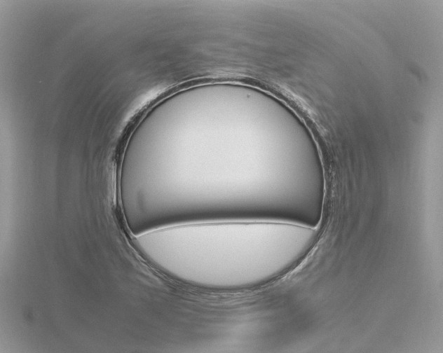 X0000116661171200912141020