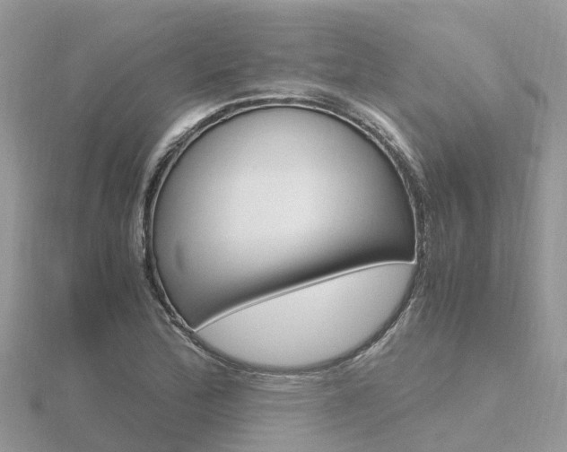 X0000116661172200912141020