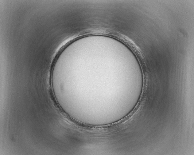 X0000116661174200912141020
