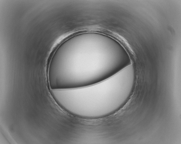 X0000116661176200912141020