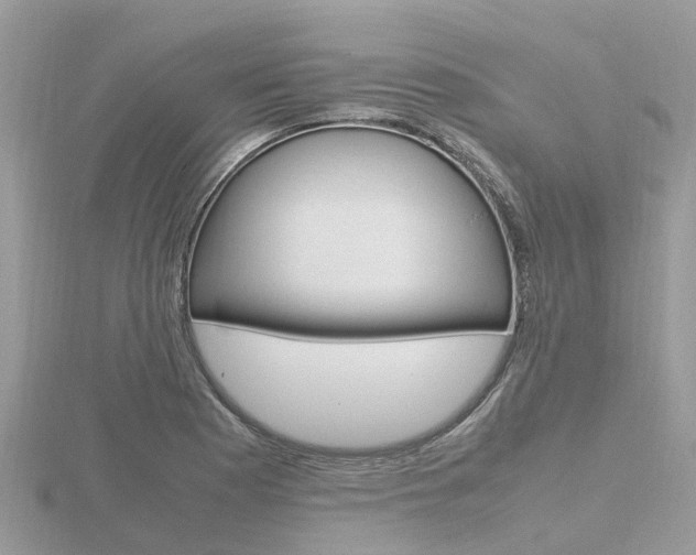 X0000116661177200912141020