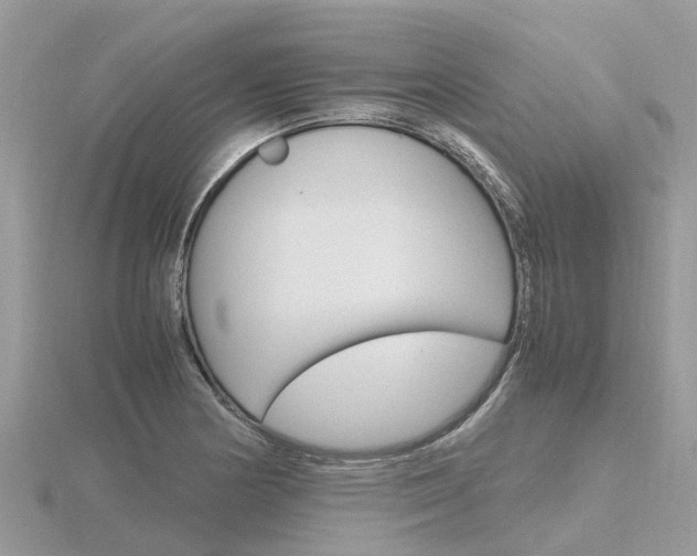 X0000116661178200912141020