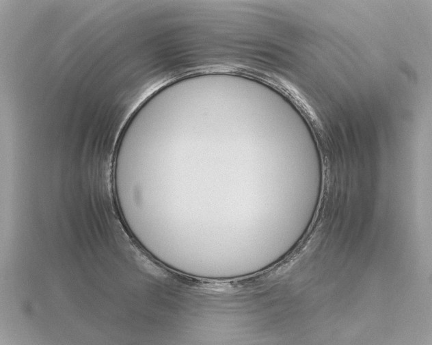 X0000116661186200912141020