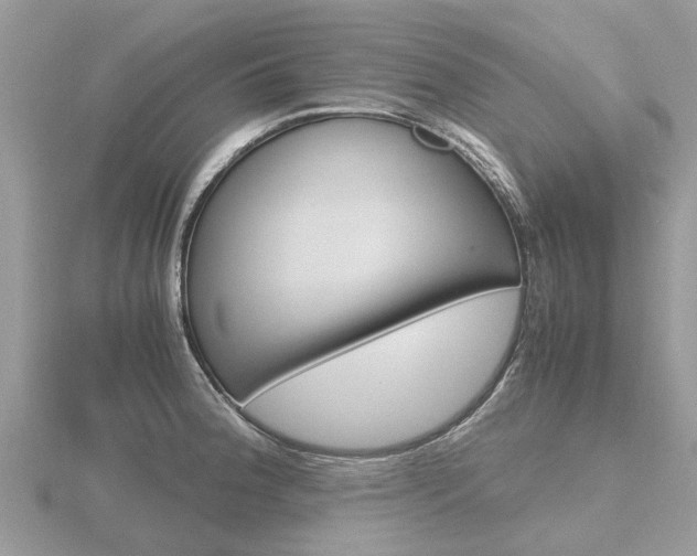 X0000116661188200912141020