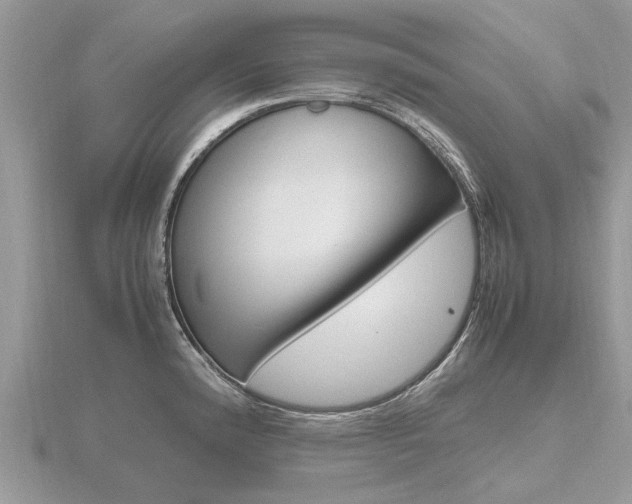 X0000116661192200912141020