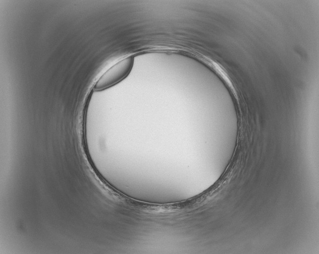 X0000116661195200912141020