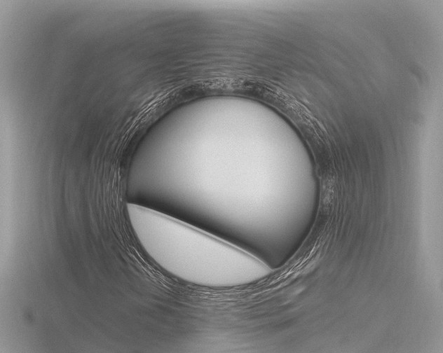 X0000116661202200912141019