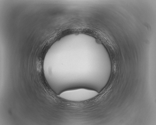 X0000116661204200912141019