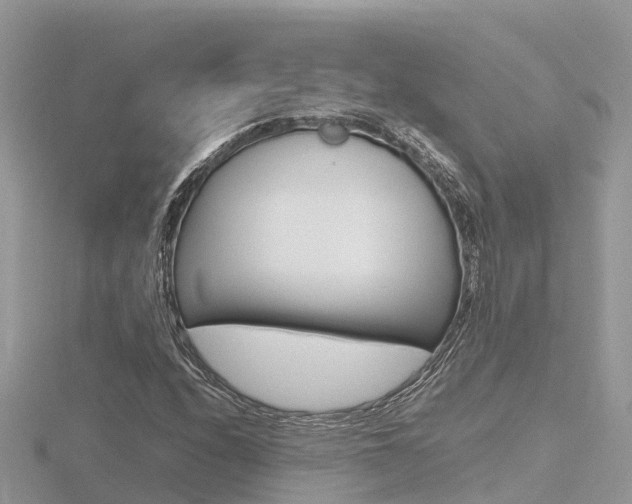 X0000116661208200912141019