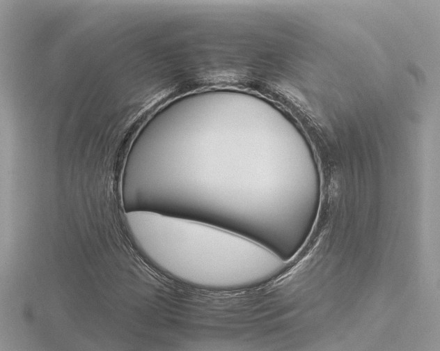 X0000116661209200912141019