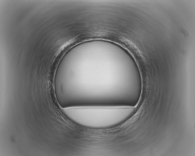 X0000116661210200912141019