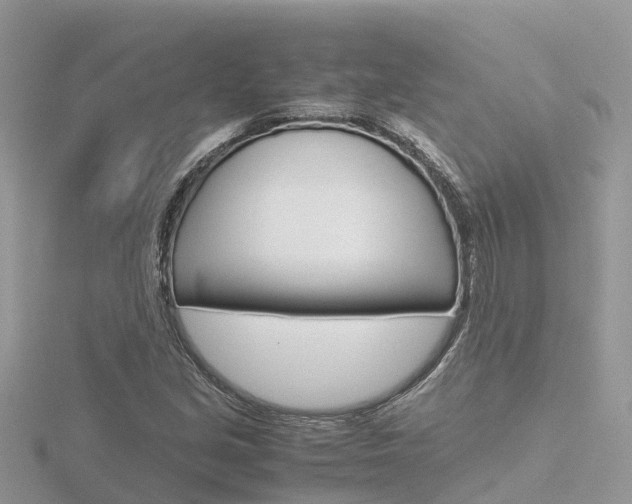 X0000116661213200912141020