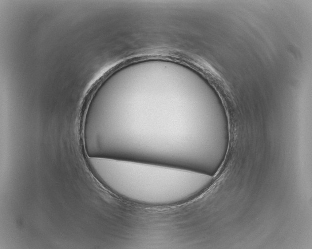 X0000116661216200912141020
