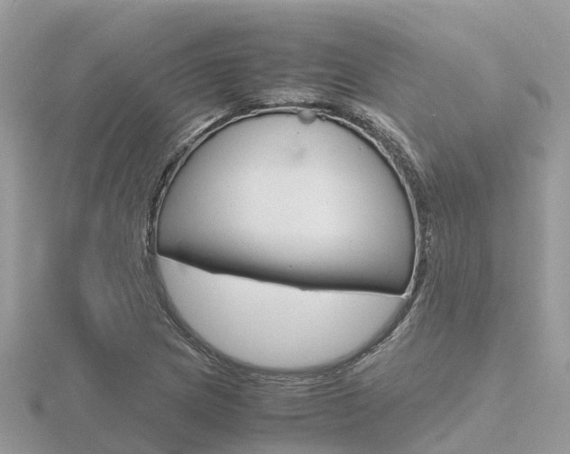 X0000116661217200912141020