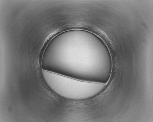 X0000116661218200912141020