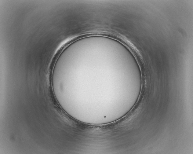X0000116661222200912141020