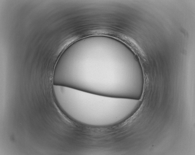 X0000116661225200912141020