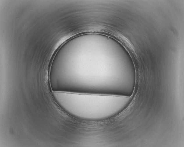 X0000116661226200912141020
