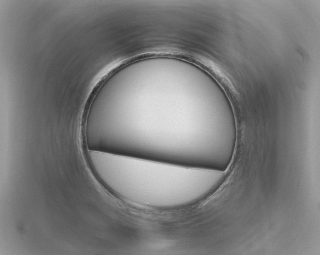 X0000116661229200912141020
