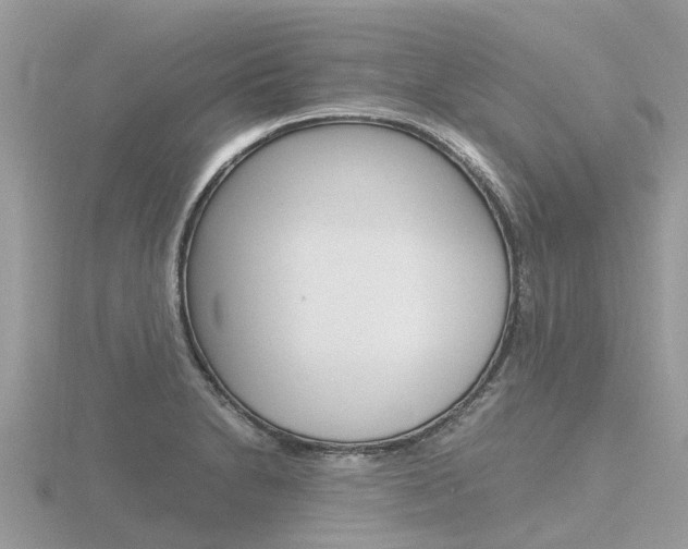 X0000116661230200912141020
