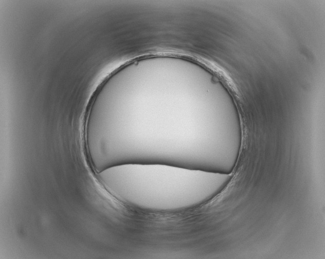 X0000116661231200912141020