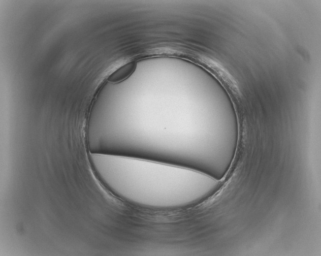 X0000116661233200912141020