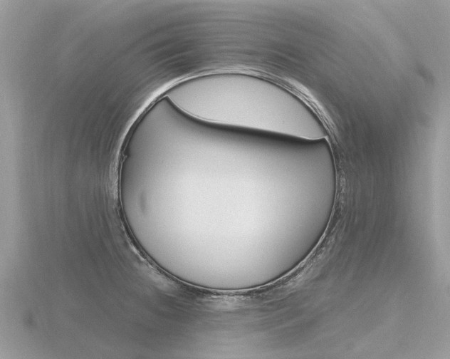 X0000116661236200912141020