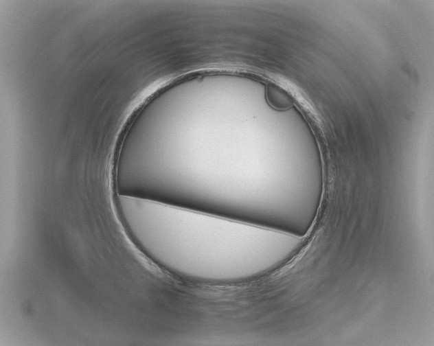 X0000116661237200912141020