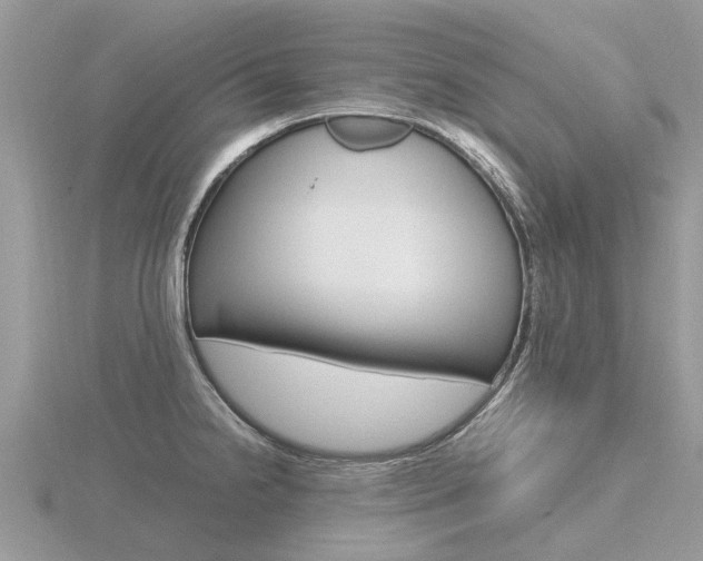 X0000116661238200912141020