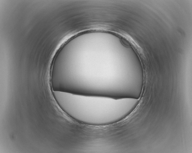 X0000116661240200912141020