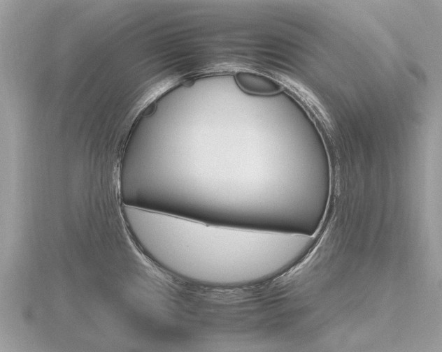 X0000116661241200912141020