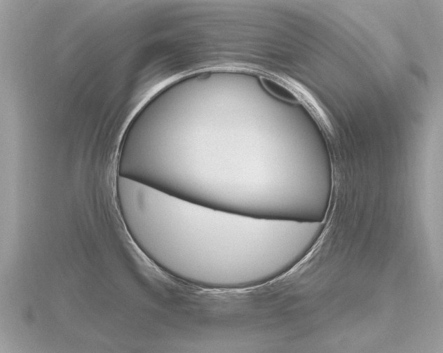 X0000116661244200912141020