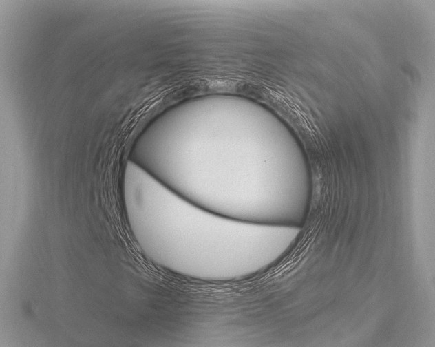 X0000116661249200912141019