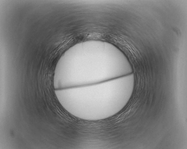 X0000116661250200912141019