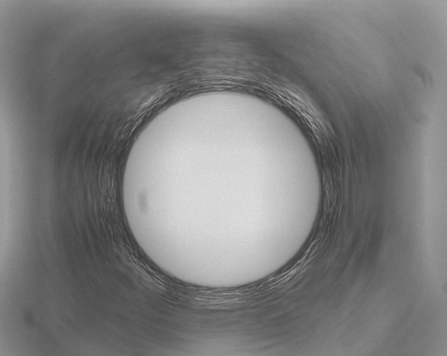 X0000116661252200912141019