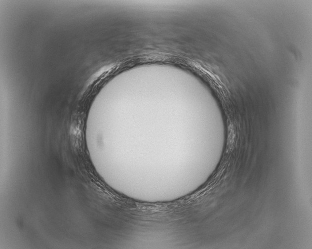 X0000116661254200912141019