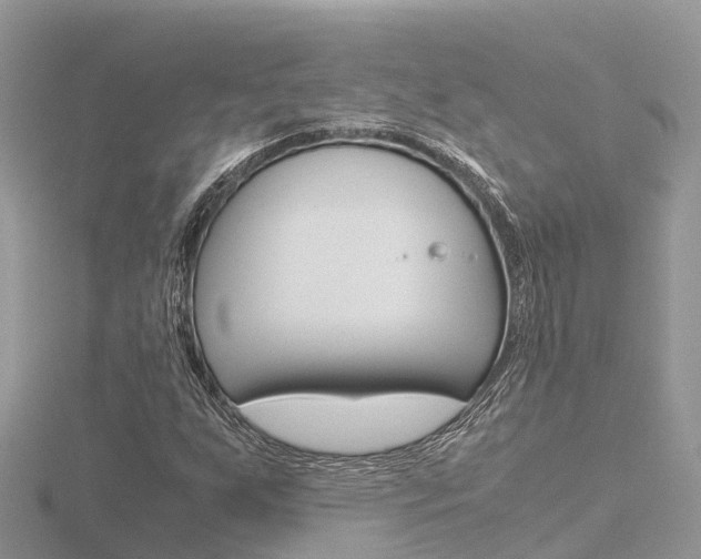 X0000116661255200912141019