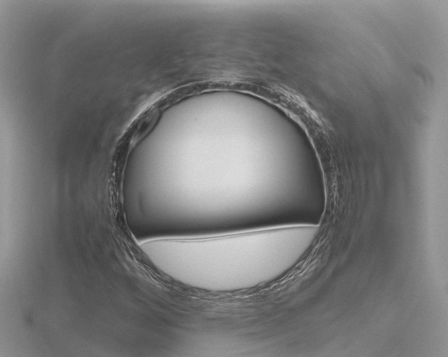 X0000116661256200912141019