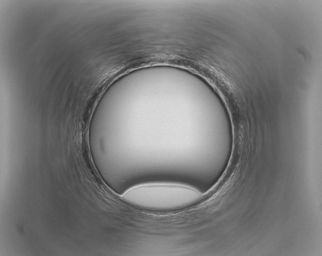X0000116661257200912141019