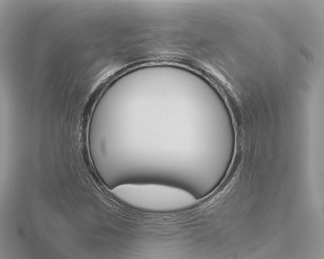X0000116661259200912141019