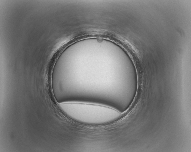 X0000116661261200912141019