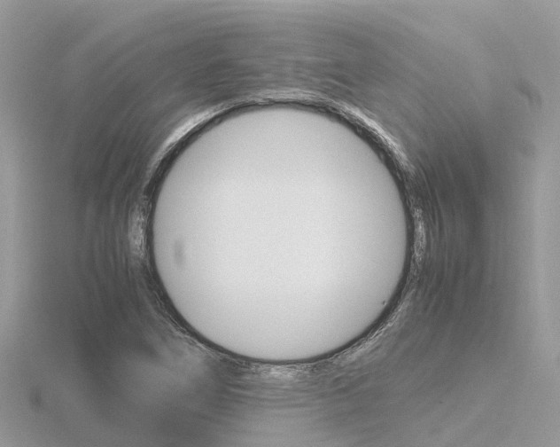 X0000116661266200912141019